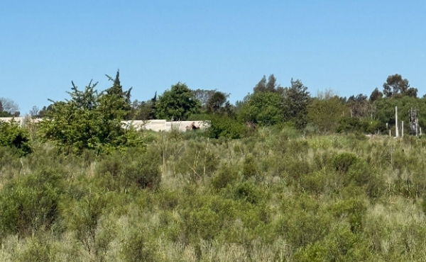 64f0312e-a4f9-40f3-8346-12f366cb6cea