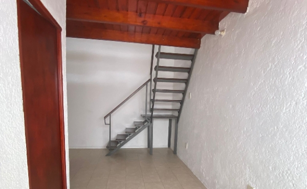 b0579bd8-e11d-40e5-b6d9-b2369f484319