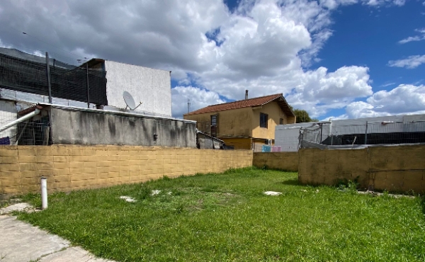 97b1e2a4-c23e-4529-bb38-4eb2318840e9