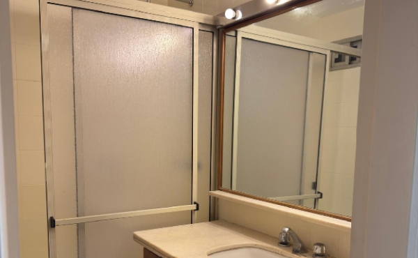 WhatsApp Image 2026-02-10 at 17.12.53