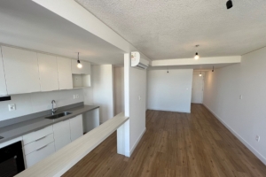 VENTA DE APARTAMENTO 2 DORMITORIOS MALVIN